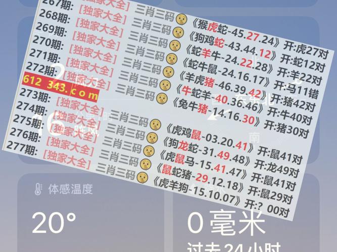 2024澳门正版资料免费大全精准Kj77,2025全面解析实用技巧分享