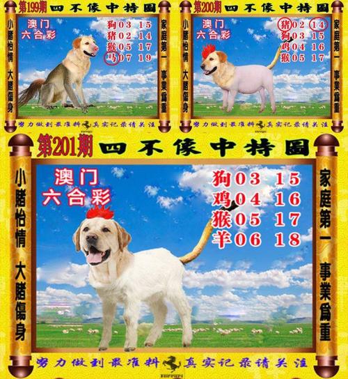 2024澳门正版资料免费大全精准四不像,2025全面解析实用技巧分享