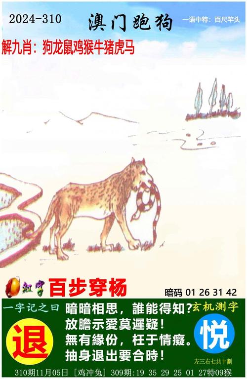 2024澳门精准正版资料大全酷知查询,2025年最新实用信息汇总指南