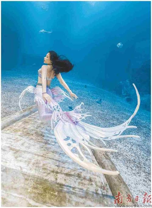 2024澳门精准正版资料76期下载美人鱼和澳门资料大全,正版资料查询最新版特色澳门…全面释义、专家解释与落实与警惕虚假宣传