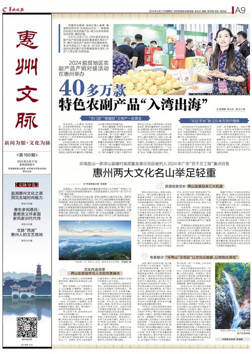 新澳门天天彩免费全年大全龙门客栈和777788888管家婆免费全面释义、专家解释与落实与警惕虚假宣传